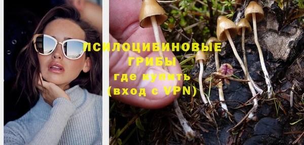 гидропоника Аркадак