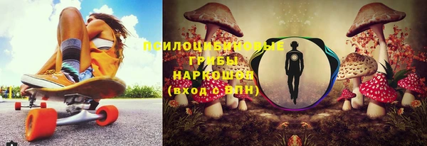 молекула духа Армянск
