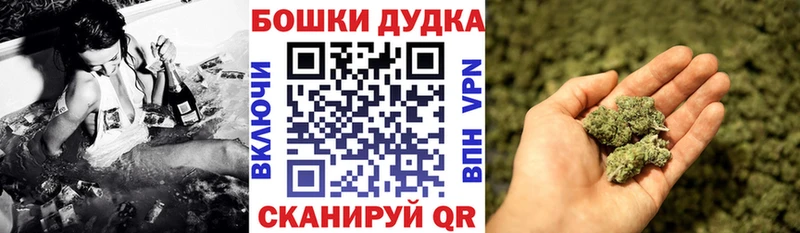 где можно купить наркотик Лениногорск Канабис Amnesia